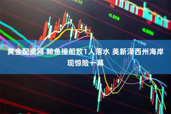 黄金配资网 鲸鱼撞船致1人落水 美新泽西州海岸现惊险一幕