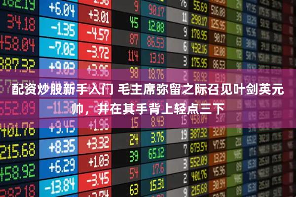 配资炒股新手入门 毛主席弥留之际召见叶剑英元帅，并在其手背上轻点三下