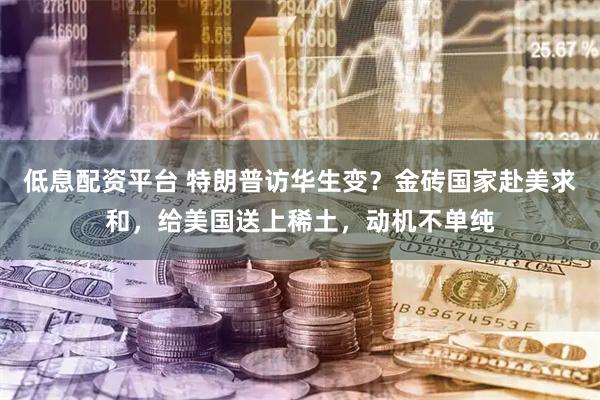 低息配资平台 特朗普访华生变？金砖国家赴美求和，给美国送上稀土，动机不单纯