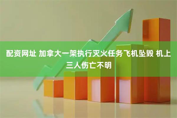 配资网址 加拿大一架执行灭火任务飞机坠毁 机上三人伤亡不明