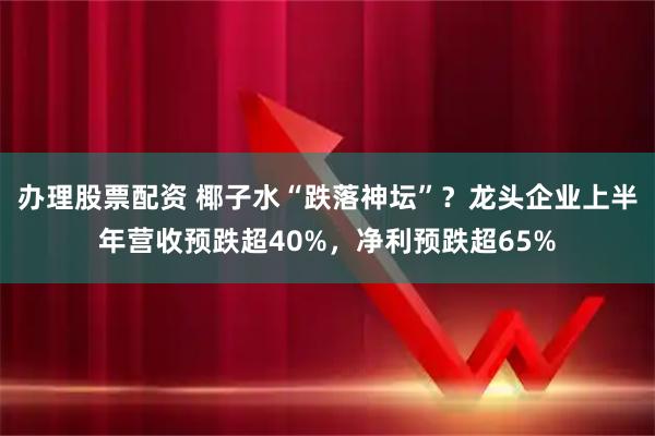 办理股票配资 椰子水“跌落神坛”？龙头企业上半年营收预跌超40%，净利预跌超65%